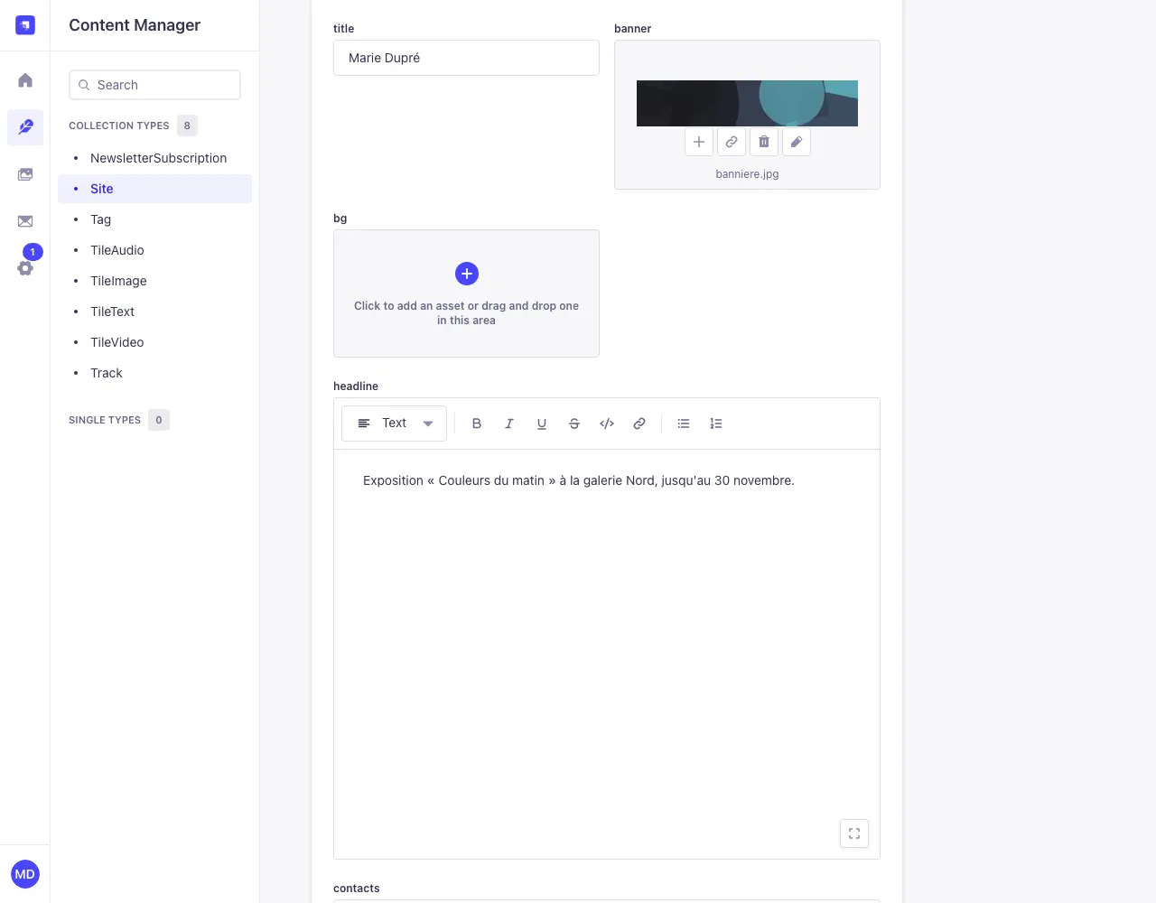The title, banner, subtitle and logo fields in the site's settings